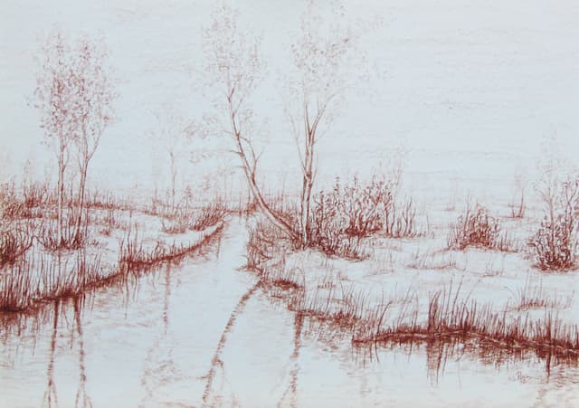 Alberi che si specchiano - Matita grassa 30x45